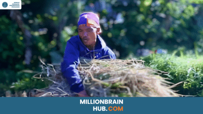 Petani Yang Tengah Mengangkut Gabah Basah
