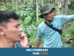 Gara-Gara Kopi dan Lada Indonesia Dijajah, Sekarang?