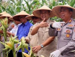 Panen Raya Jagung, Hera Iskandar Apresiasi Polres Sukabumi Ikut Jaga Ketahanan Pangan