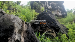 Wisata Karang Para, Siap Bangkit atau Sekadar Seremonial?