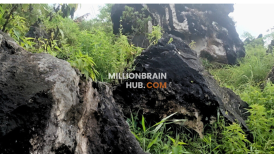 Wisata Karang Para Desa Kebonmanggu