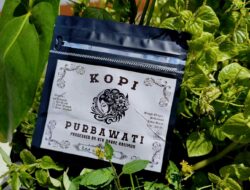 Dari Kebun ke Pasar: Desa Perbawati Menyulam Ekonomi Warga Lewat Kopi Unggulan