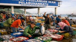Ilustrasi tempat pelelangan ikan di Palabuhanratu