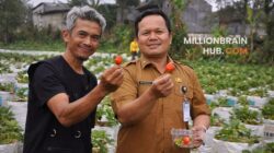 Kepala Dinas Pertanian Kabupaten Sukabumi, Aep Majmudin, melakukan kunjungan kerja ke Kelompok Tani Mulia di Desa Cisarua, Kecamatan Sukaraja, Jumat (10/4/2026). |Foto: ist