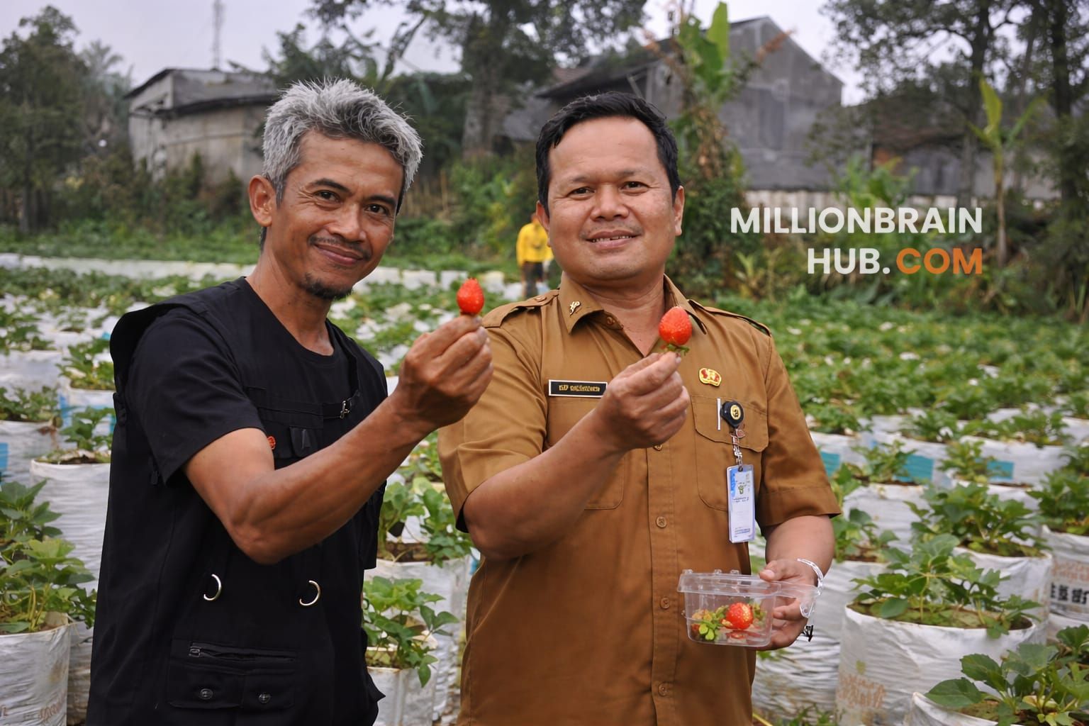 Kepala Dinas Pertanian Kabupaten Sukabumi, Aep Majmudin, melakukan kunjungan kerja ke Kelompok Tani Mulia di Desa Cisarua, Kecamatan Sukaraja, Jumat (10/4/2026). |Foto: ist
