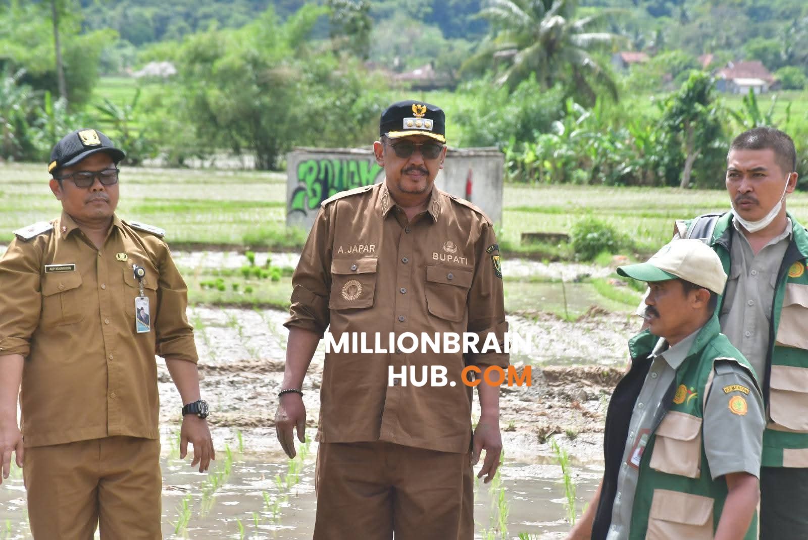 SUKABUMI,MILLIONBRAINHUB.COM – Produktivitas padi di Kecamatan Ciemas sangat bagus. Hasilnya menunjukkan angka menggembirakan. Kepala Dinas Pertanian
