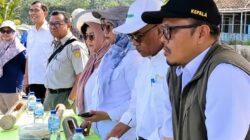 Ciemas Jadi Lumbung Benih Padi Unggul, Distan Sukabumi Tanam Perdana VUB untuk Dukung Swasembada Pangan