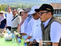 Ciemas Jadi Lumbung Benih Padi Unggul, Distan Sukabumi Tanam Perdana VUB untuk Dukung Swasembada Pangan