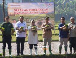 Sukabumi Kejar Target Tanam 11 Ribu Hektare, Sekda Minta Petani Percepat Semai dan Olah Lahan