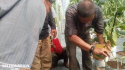 Dinas Pertanian Sukabumi Dorong Pengembangan Agrowisata Terintegrasi, SAM FARM Greenhouse Resmi Jadi Destinasi Wisata Baru