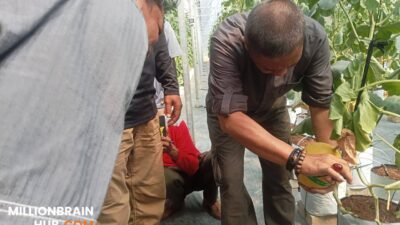 Dinas Pertanian Sukabumi Dorong Pengembangan Agrowisata Terintegrasi, SAM FARM Greenhouse Resmi Jadi Destinasi Wisata Baru