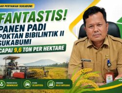 Fantastis! Panen Padi Poktan Bibilintik II Sukabumi Capai 9,6 Ton per Hektare