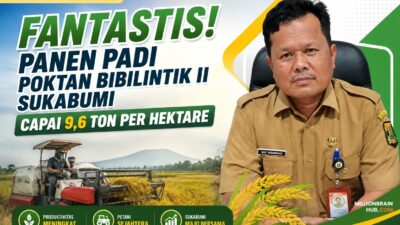Fantastis! Panen Padi Poktan Bibilintik II Sukabumi Capai 9,6 Ton per Hektare