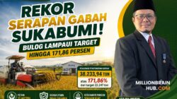 Rekor Serapan Gabah Sukabumi! Bulog Lampaui Target hingga 171,86 Persen