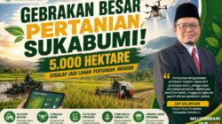 Gebrakan Besar Pertanian Sukabumi! 5.000 Hektare Disulap Jadi Lahan Pertanian Modern