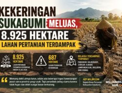 Kekeringan Sukabumi Meluas, 8.925 Hektare Lahan Pertanian Terdampak