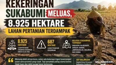 Kekeringan Sukabumi Meluas, 8.925 Hektare Lahan Pertanian Terdampak
