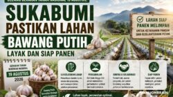 Jelang Gerakan Tanam Nasional 19 Agustus, Sukabumi Pastikan Lahan Bawang Putih Layak dan Siap Panen