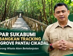 Dispar Sukabumi Kembangkan Tracking Mangrove Pantai Cikadal, Dorong Wisata Alam Berkelanjutan