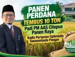 Panen Perdana Padi PM AAS Citepus Tembus 10 Ton, Kadis Pertanian Optimistis Swasembada Pangan