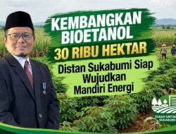 Kembangkan Bioetanol 30 Ribu Hektar, Distan Sukabumi Siap Wujudkan Mandiri Energi